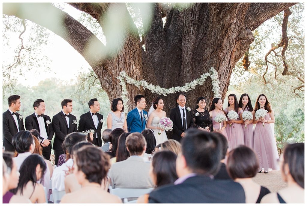 Entire bridal party and family at Stonebridge photographed by Picture Bouquet Studio for outdoor wedding. 