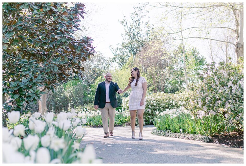 Girl in white lace dress pulling fiance along beautiful white tulip lined pathway at the Dallas Arboretum for their spring engagement session photographed by Jenny Bui of Picture Bouquet Studio. 