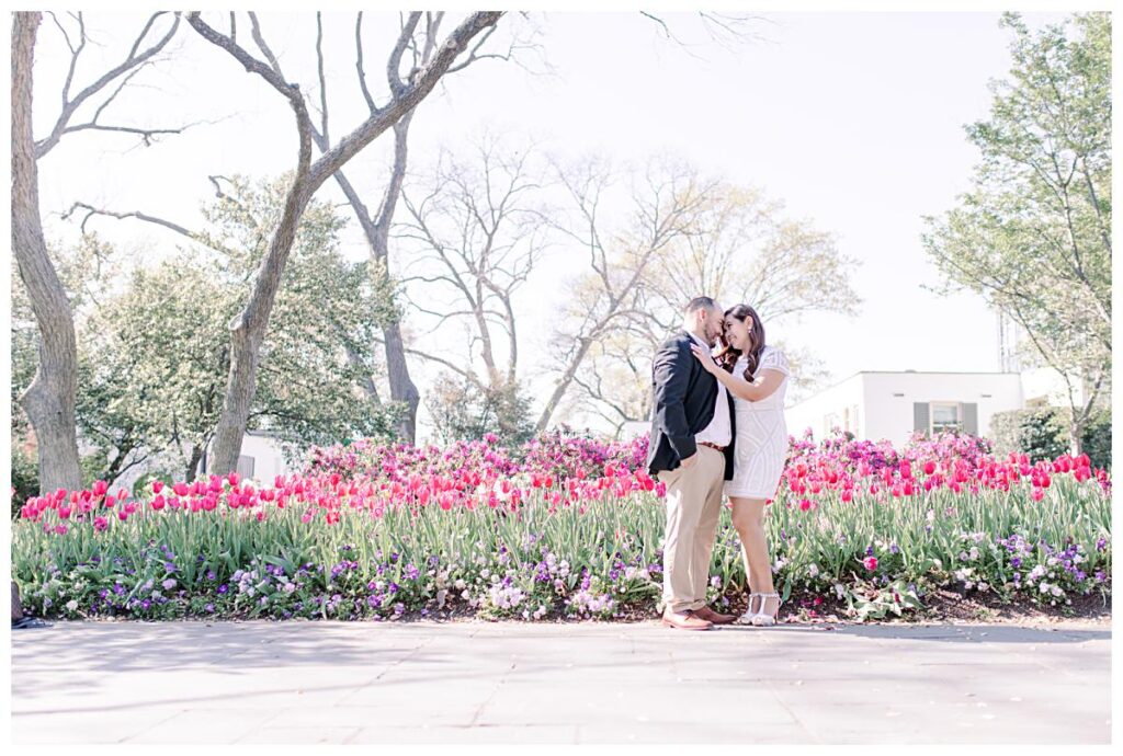 Engaged couple presses forehead together along pink and purple lined tulip pathway at the Dallas Arboretum for their spring engagement session photographed by Jenny Bui of Picture Bouquet Studio. 